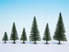 Model Fir Trees