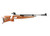 Feinwerkbau P75 Biathlon Air Rifle