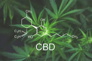 cbd-graphic.png