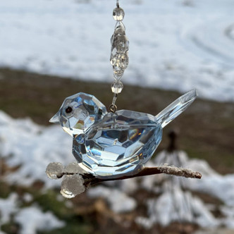 Winter Bluebird Ornament Glitter Acrylic 3.5 Inch Per Pc