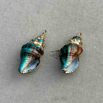 32-25mm Teal Shell Pendant Gold Electroformed Blue Dye Per Pair