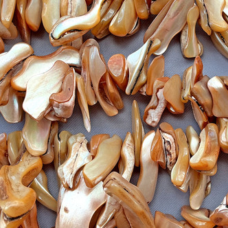 Caramel Dagger Nugget 14-40mm Dyed Shell Beads Per Strand