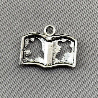 Bible Charms 14x18mm Antique Silver Plated Alloy Q6 per Pkg