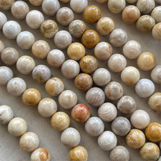 Fossil Coral Round 10mm Semi Precious Beads Per Strand