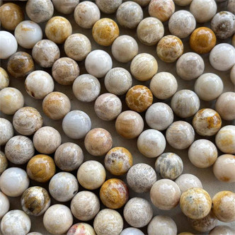 Fossil Coral Round 12mm Semi Precious Beads Per Strand