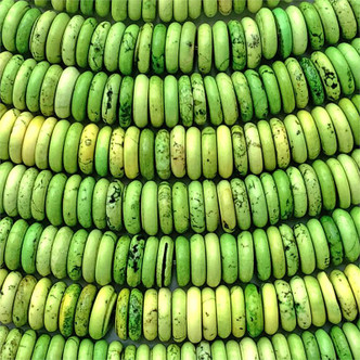 Dyed Green Magnesite 10mm Rondelle Semi-Precious Stone Beads per Strand