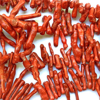 Dyed Red Sponge Coral Top Drilled Branch Semi Precious Beads per Strand