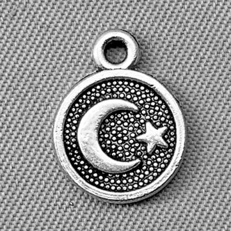 Small Crescent Moon and Star Coin Charms 12x10mm Antique Silver Plated Alloy Q12 Per Pkg