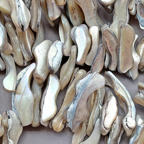 Flint Gray Dagger Nugget 14-40mm Dyed Shell Beads Per Strand