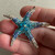 2.25 Inch Starfish Pendant Brooch Pin Rhinestone Turquoise Clear Per Pc