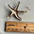 2.25 Inch Starfish Pendant Brooch Pin Rhinestone Turquoise Clear Per Pc