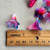 Rollerblade Artisan Lucite Acrylic Flower Trumpet Beads 22mm Hand Painted Q4 Per Pkg