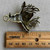 Batilda Bat Witch Pendant Patina Artisan Hand Painted 60x50mm Per Pc