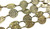 Textured Coins Decorative Ovals Antique Brass Chain per Foot