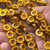 12mm Window Cut Flower Beads Czech Glass Bronze Dandelion 12Pcs Per Strand
