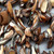 Chocolate Dagger Nugget 14-40mm Dyed Shell Beads Per Strand