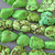 Dyed Mint Green Magnesite 28mm-15mm Nugget Semi-Precious Stone Beads Per Strand