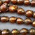 Chocolate Baroque Dyed Freshwater Pearl 15x12mm Beads Per Strand