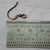 French Hook Flat Ball Earwires 15mm Antique Copper Plated Brass Q40 Pair Per Pkg