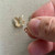 14mm Crystal Cross Prism Charms Brandy Satin 4Pcs Per Pkg