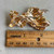 2.5 Inch Fancy Goldfish Brooch Pin Rhinestone Per Pc