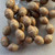 12x10mm Acorn Czech Glass Beads Gilded Tawny Q8 Per Strand