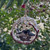 Chickadees with Eggs in Birch Nest Ball Ornament Christmas Glitter Resin 4 Inch Per Pc