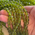8mm Olivine Faceted Fire Polish Beads Czech Glass Round 25Pcs Per Strand