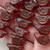 Sparrow Bird Czech Glass Beads 22x11mm Gilded Cardinal 6 Per Strand