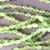 Frosted Green Satin 5x3.5mm Small Teardrop Chinese Crystal Glass Beads per Strand