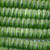 Pine Green Ruffled Disc 13x6mm Sea Glass Beads Per Strand