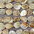 Coffee Cream Nugget 15-18mm Natural MOP Shell Beads Per Strand