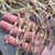 8x4mm Lemon Fluorite Faceted Barrel Semi-Precious Stone Beads Per Strand