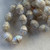 12x10mm Acorn Czech Glass Beads Crystal AB Aurum Q8 Per Strand