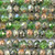Bonsai Green Mix 8x6mm Faceted Rondelle Chinese Crystal Glass Beads Per Strand