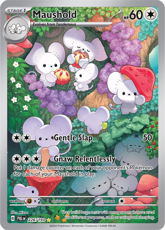 Maushold - PAL-226 - (Illustration)