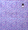 George Mendoza GM11 Colors Of The Wind Dots Purple Fabric By Yd