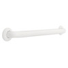 5624W 24" Assist Grab Bar Concealed Mount White Finish