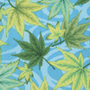 Philip Jacobs PWPJ080 Maple Stream Aqua Cotton Quilting Fabric By Yard