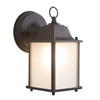 Tara Collection 1-Light Black Outdoor Wall Lantern Sconce