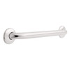 Delta DF5724SS 24" Grab Bar Concealed Mount Stainless Steel 1 1/4" OD