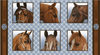 Studio E Horse Whisper Block Panel Multi Fabric By The Panel