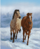 Studio E Horse Whisper Horse Panel 36" x 44" Fabric By The Panel
