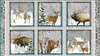Henry Glass Snowy Woods 24" Scenic Block Panel Fabric By The Panel