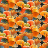 Henry Glass Autumn Splendor Tossed Pumpkin Orange Cotton Fabric By The Yard