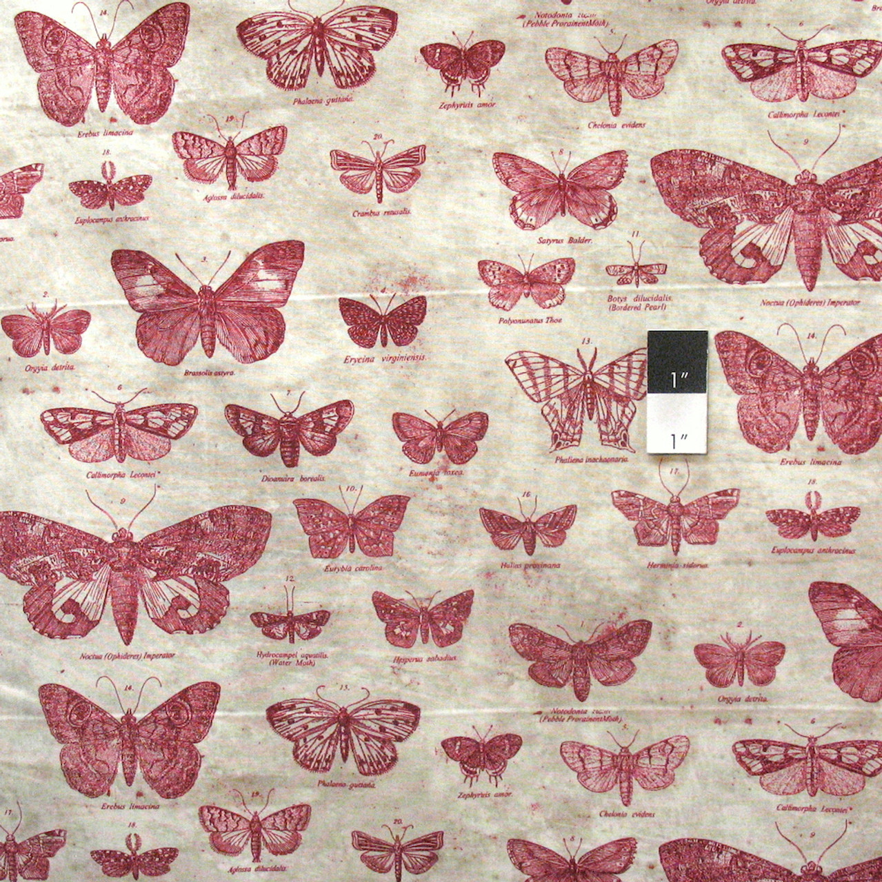 Tim Holtz PWTH004 Eclectic Elements Butterflig​ht Red Cotton Fabric By Yard