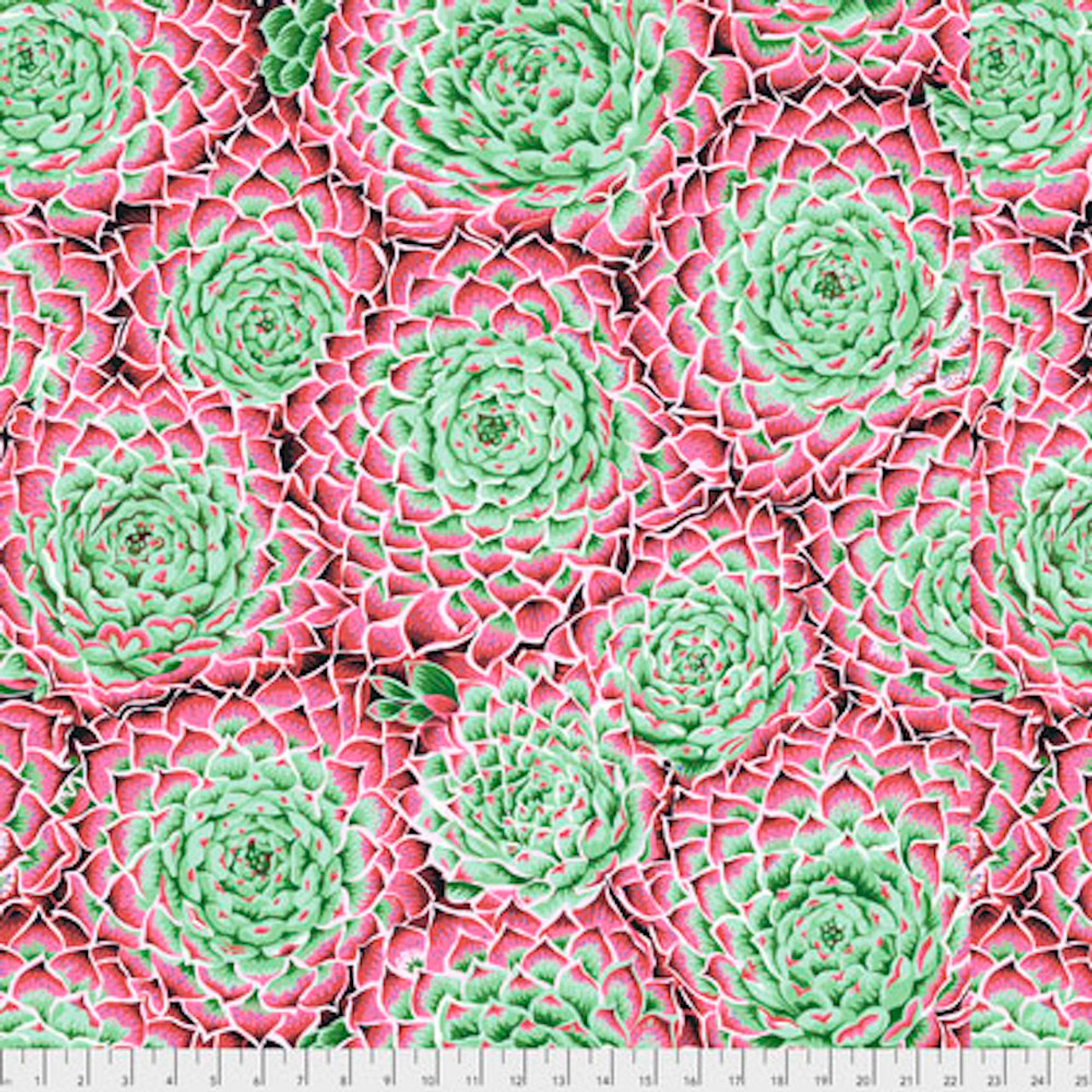 Philip Jacobs PWPJ091 Succulent Pink Cotton Quilting Fabric By Yard