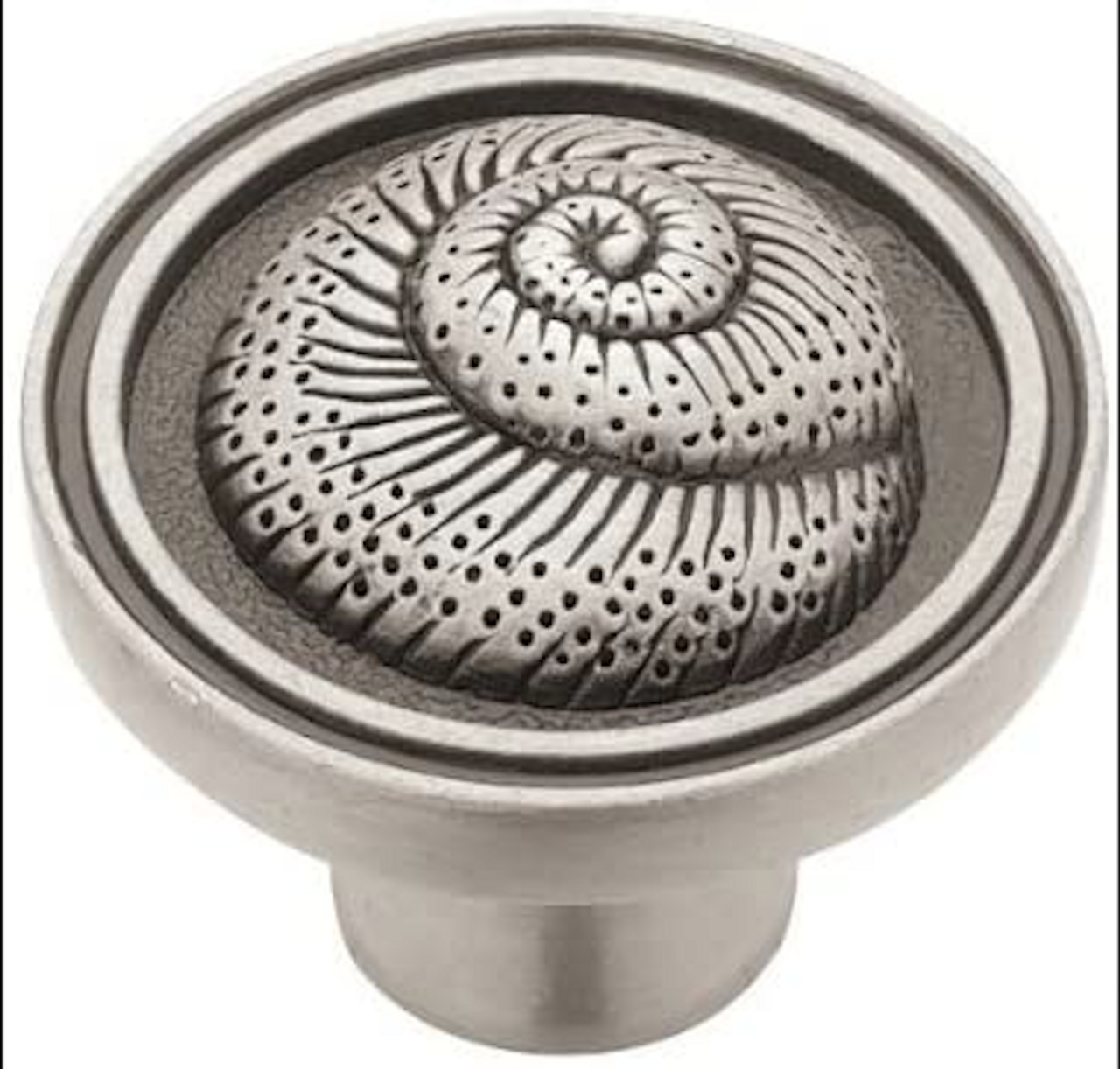 PBF660-BSP 1 3/8" Seaside Nautilus Shell Cabinet Knob Brushed Satin Pewter 5 Pack