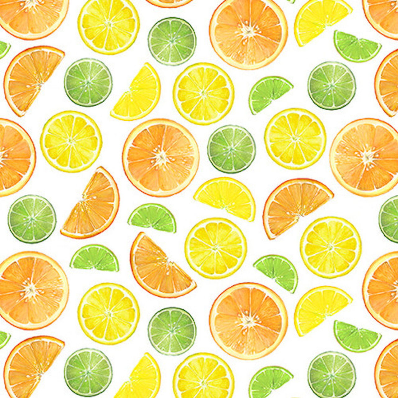 Blank Quilting Fruit For Thought Fruit Slices White Cotton Fabric By The Yard