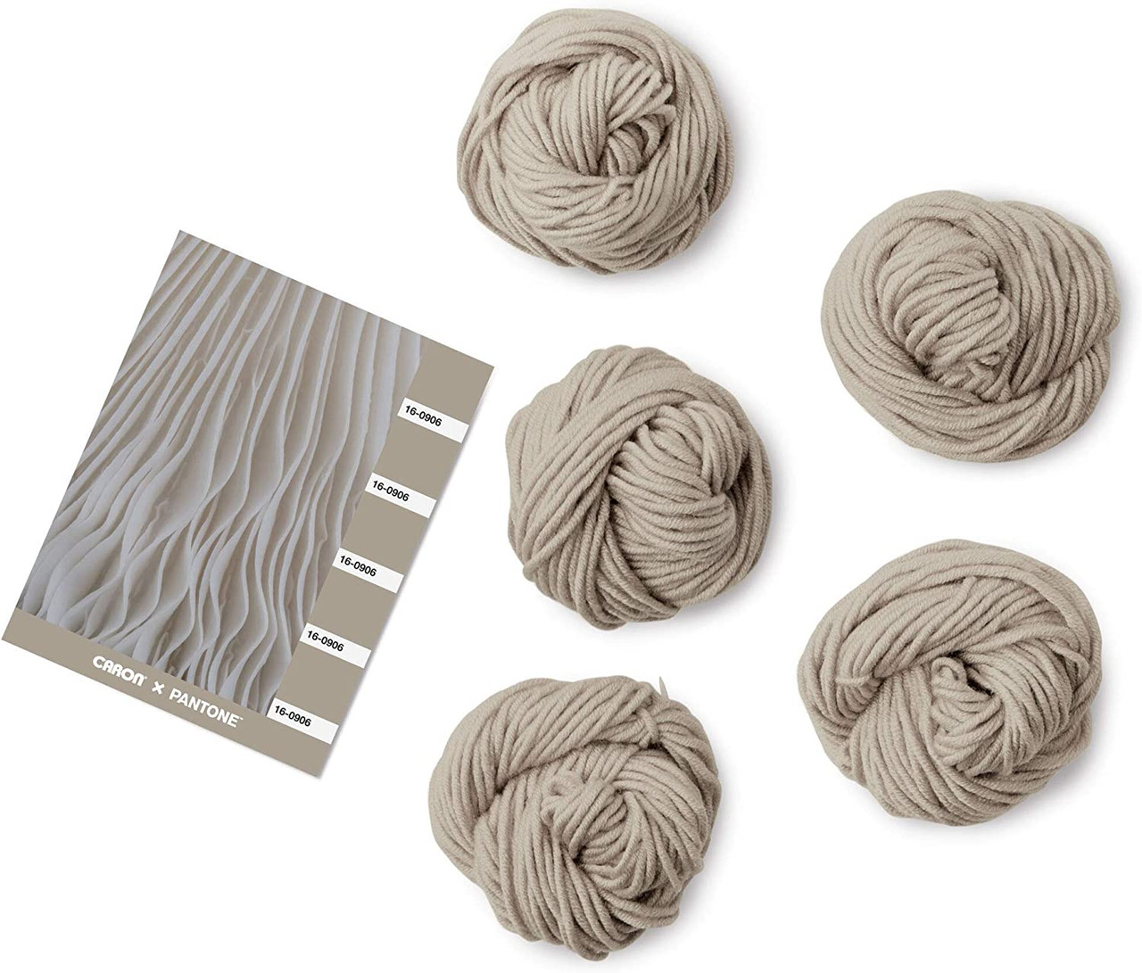 Caron Pantone X Mushroom Greige 5-Color Knitting & Crochet Yarn